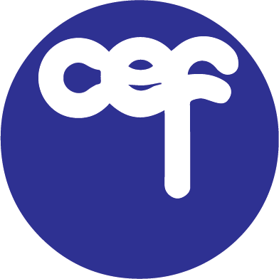 Logo Colegio Emil Friedman